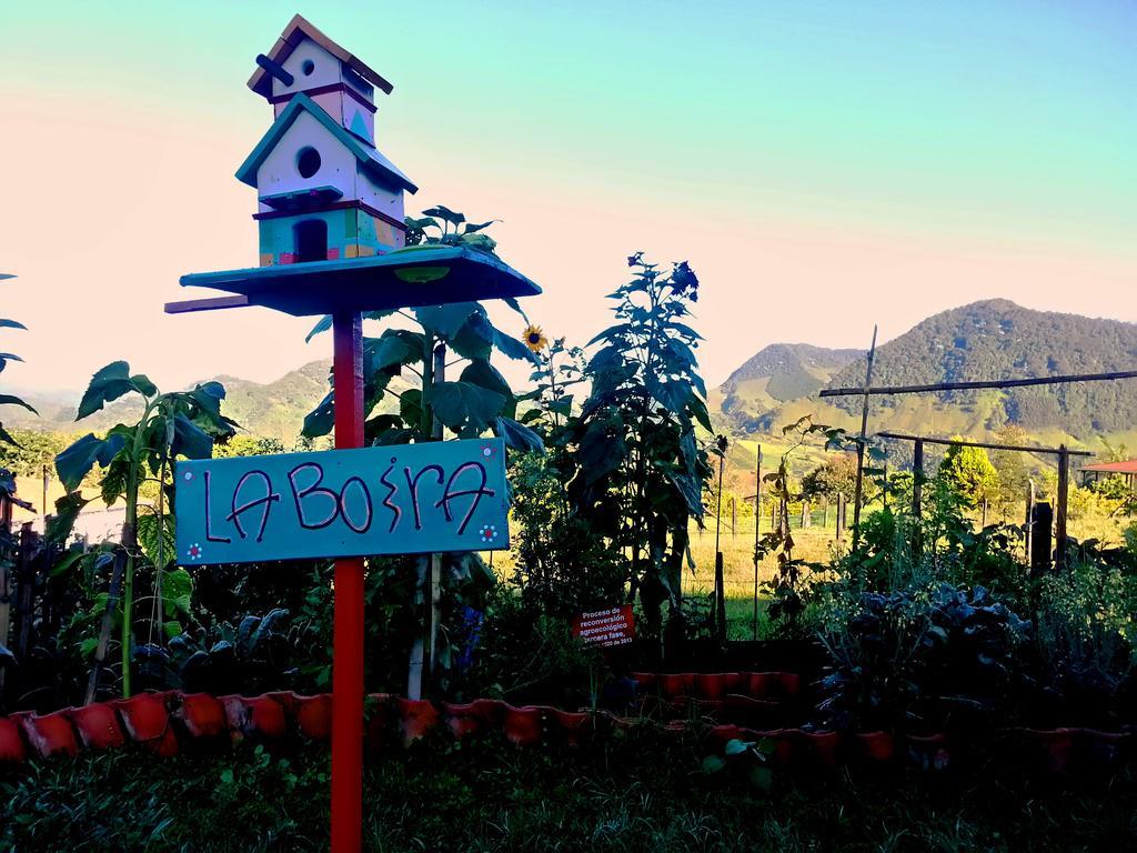 Coliving La Boira Bed & Breakfast Jardin Ngoại thất bức ảnh