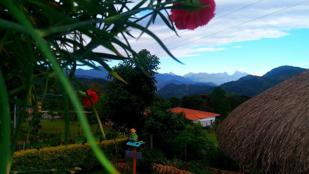 Coliving La Boira Bed & Breakfast Jardin Ngoại thất bức ảnh
