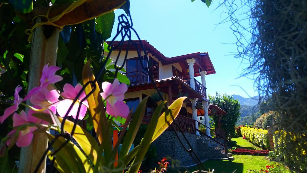 Coliving La Boira Bed & Breakfast Jardin Ngoại thất bức ảnh