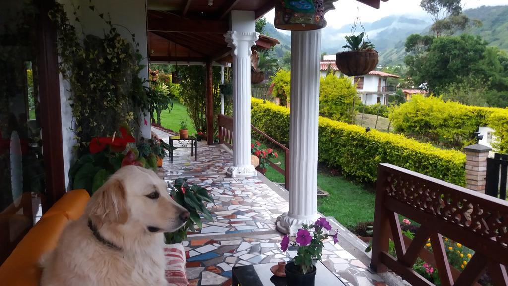 Coliving La Boira Bed & Breakfast Jardin Ngoại thất bức ảnh