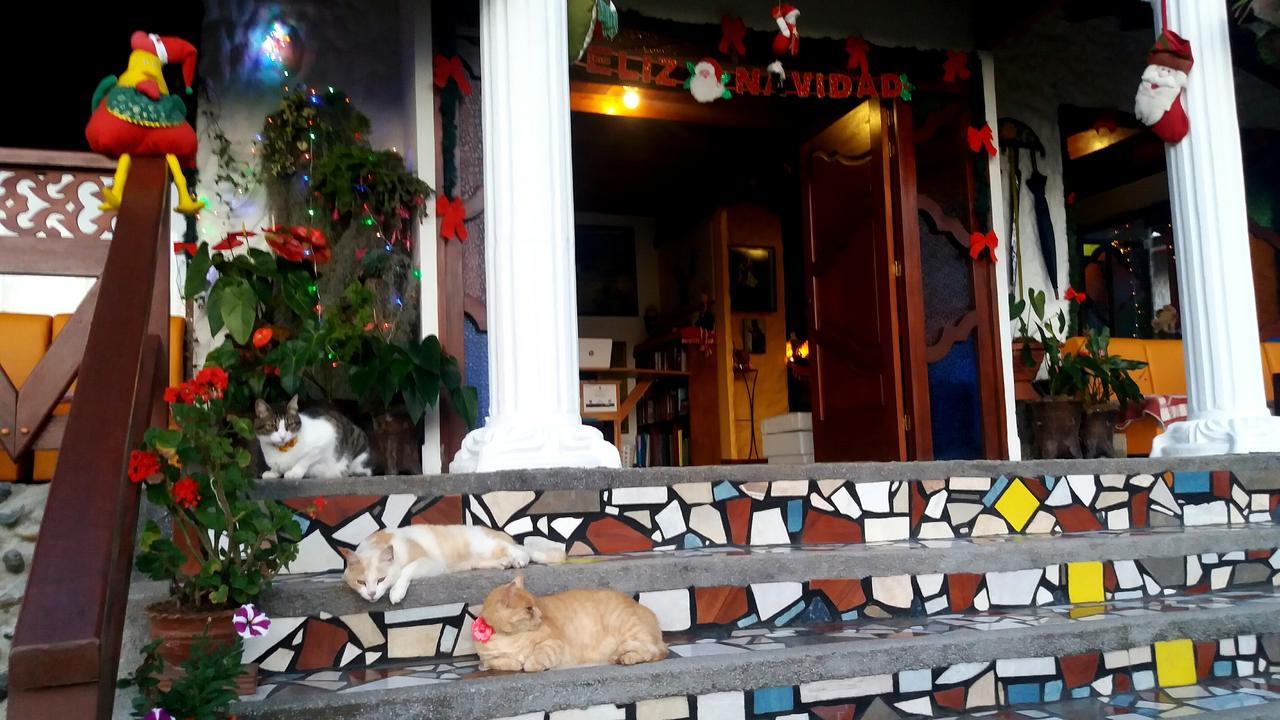 Coliving La Boira Bed & Breakfast Jardin Ngoại thất bức ảnh