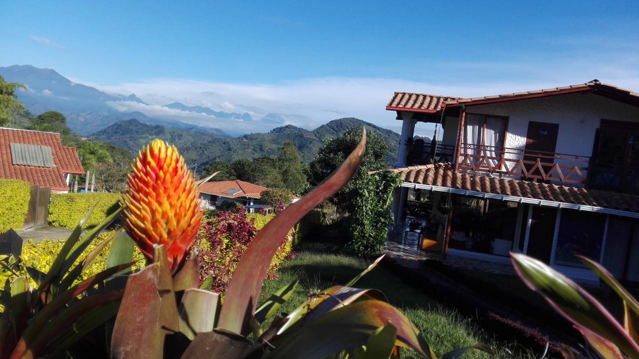 Coliving La Boira Bed & Breakfast Jardin Ngoại thất bức ảnh